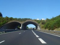 Internationales Abkommen stärkt Alpen-Karpaten-Korridor