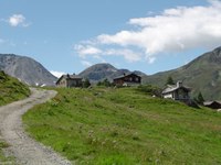 Schweiz-italienische Zusammenarbeit zur Verbesserung der ökologischen Vernetzung