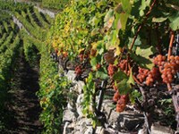 Sondrio feiert gemeinsam mit der CIPRA