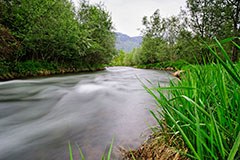 Quelle des Lebens und des Profits