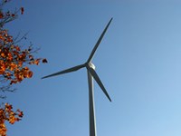 Energiewende mit Naturschutz versöhnen