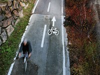 Alpenflüsse, Biodiversität und Mobilität