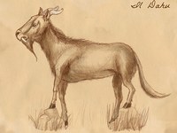 Dahu in Norditalien gesichtet