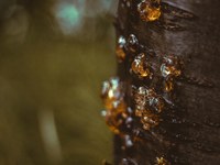 Kurzgeschichte: Das Blatt Papier