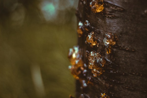 Kurzgeschichte: Das Blatt Papier