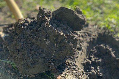 EU will gesunde Böden bis 2050