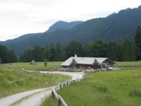 Gentrifizierung der Almen: die Causa Saurüssel