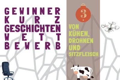Kurzgeschichte: Von Kühen, Drohnen und Sitzfleisch