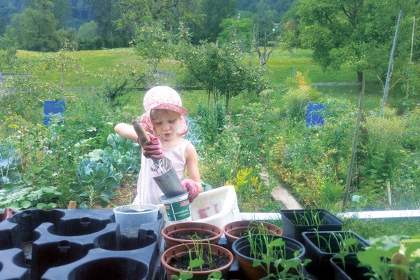 Meine Sicht auf die Alpen