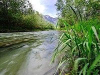 Nächste Runde für RHESI