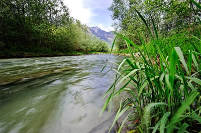 Nächste Runde für RHESI