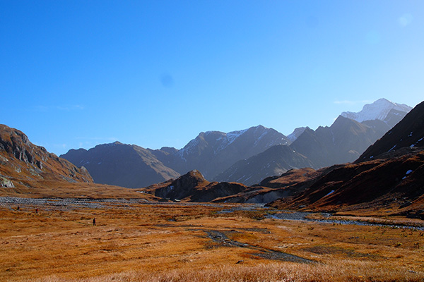 Nationalpark Adula: Geburt mit Komplikationen
