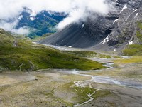 Neues Leben für Gewässer