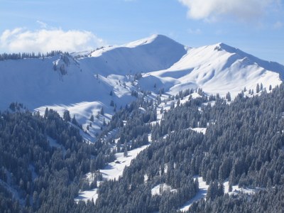 Rechtsgutachten belegt die Unwirksamkeit der Gemeinderatsbeschlüsse zur Skierschließung am Riedberger Horn