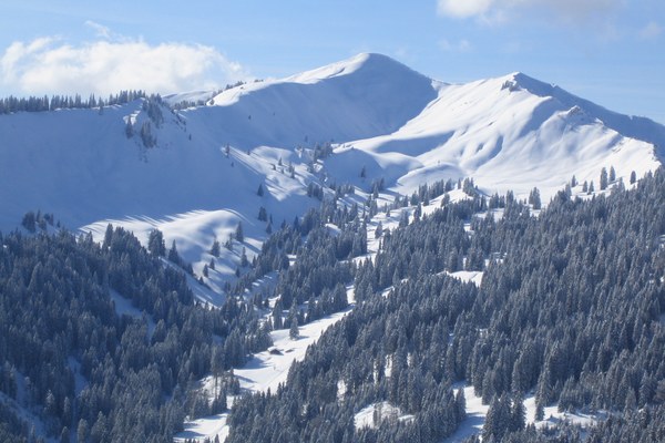 Riedberger Horn Bürgerbefragung ohne Rechtsbindung