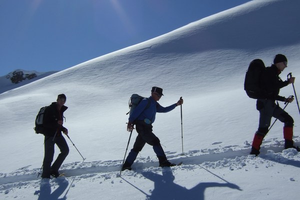 Saalforste erneut unter Erschließungsdruck