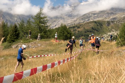 Umstrittene Projekte für erneuerbare Energie