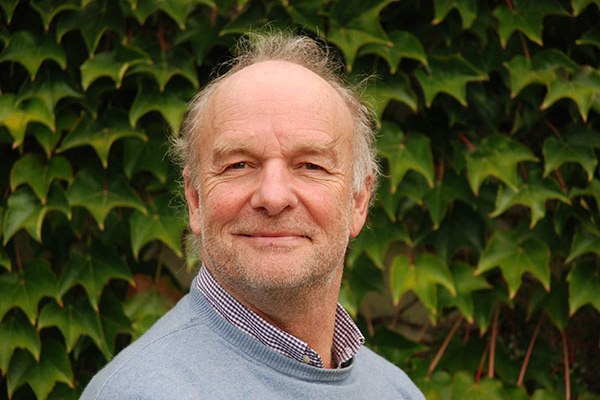 Was uns Bienen voraushaben