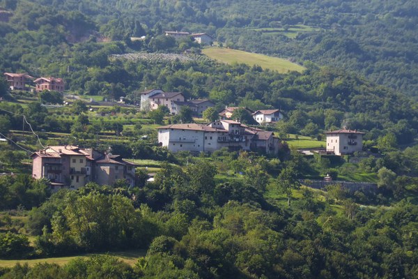 Weinberg statt Bergwald?