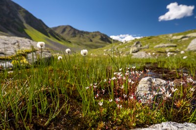 Wenig Nutzen, viel Zerstörung: Kritik an Wasserkraftplänen im Kaunertal