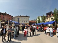 Wenn Stadtmäuse auf Landmäuse  treffen: Vereint sind wir stark