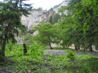 Stärkung der Alpenkonvention in Niederösterreich