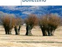 Smaragd-Gebiete – Schatzkammern der Artenvielfalt