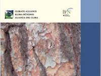 Vom Wald ins Rathaus: Verantwortungsvolle Wald- und Holzwirtschaft