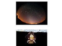 Schutz der Nacht – Lichtverschmutzung, Biodiversität und Nachtlandschaft