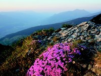 Bilanzierung des Bodenschutzprotokolls der Alpenkonvention - Endbericht liegt vor
