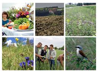Vielfalt lohnt sich!