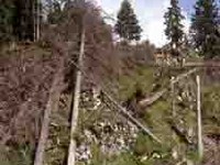 Opozarjanje javnosti pred nevihtami, viharji, gozdnimi požari, plazovi