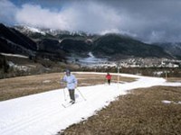 Ali so smučarji postali vrsta, ki izumira?