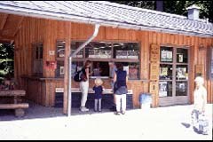 Izšel zbornik: "Exploring the Nature of Management"