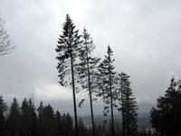 Vreme in podnebje v Alpah