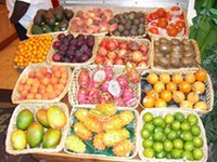 Gorska voda za tropsko hišo