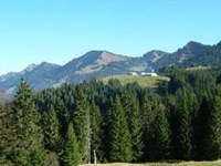 Þezmejno srečanje na vrhu predstavnikov Zelenih