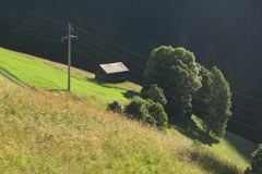 Kakšno naj bo evropsko kmetijstvo v prihodnje?