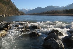 Več življenja za Alpski Ren