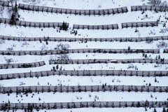 Ekonomska ocena ukrepov za zaščito pred naravnimi nesrečami