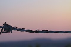 Novo ime za uveljavljeno publikacijo