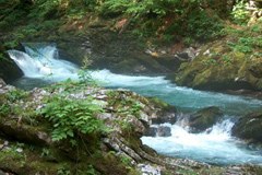 Drugo poroč ilo o stanju Alp tokrat o razmerah na področ ju alpskih vodnih virov