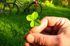 Prireditve, ki so sprejemljive za okolje in družbo