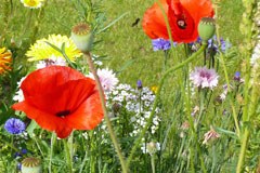 Sejem NATUR - petič zapored