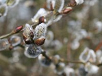 Najtoplejše desetletje v zadnjih 130 letih