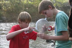 Delovna skupnost alpskih dežel spodbuja mlade: Move it!