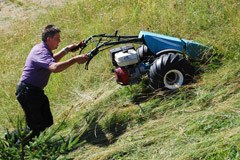 Več sredstev za gorske in ekološke kmete