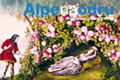 Kdo bo prebudil Alpsko konvencijo?