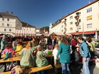 Idrija začela izvajati projekt Alpsko mesto leta