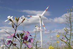 Projekt recharge.green želi povezati energijo z naravo